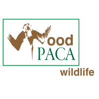 woodPACA Logo