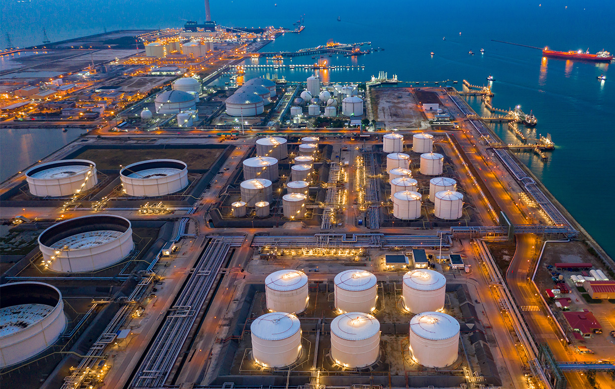 WoodPACA Wildlife_Regional_Parks_Camargue_Refineries
