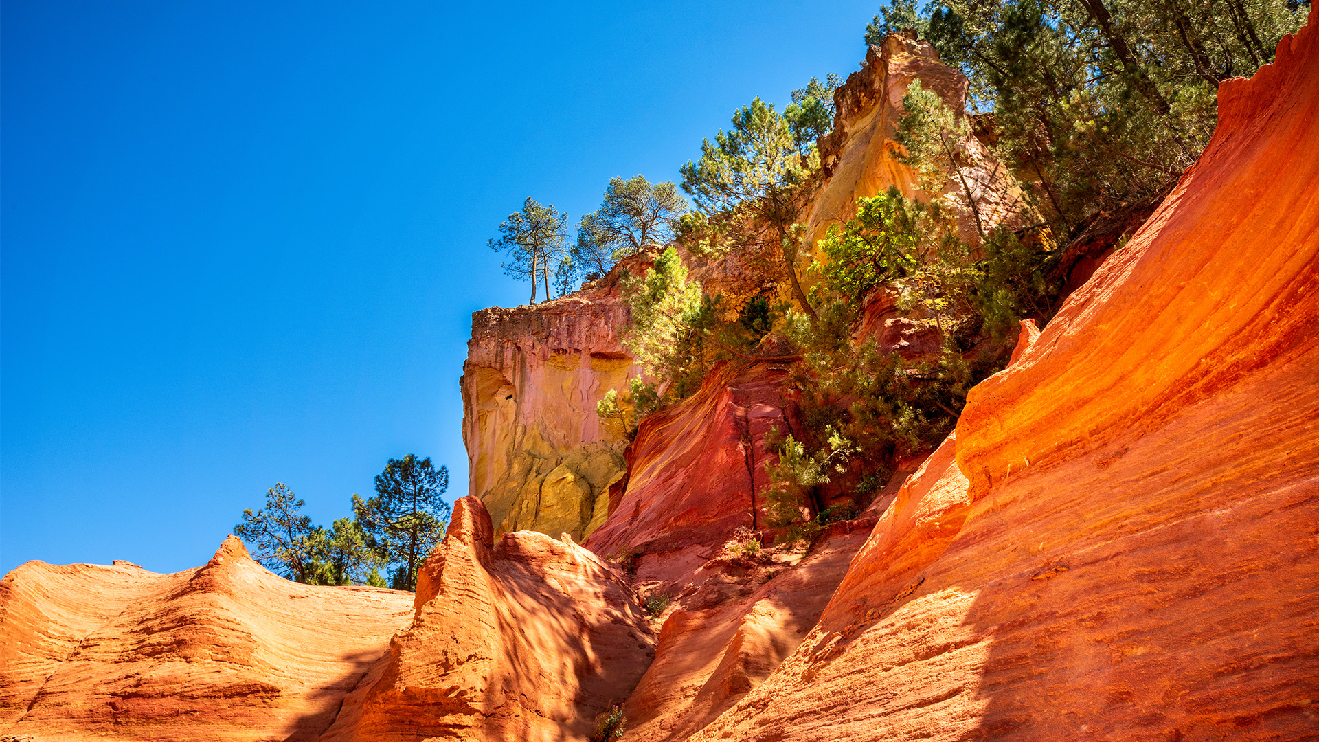 WoodPACA Wildlife_Regional_Parks_Luberon_Header