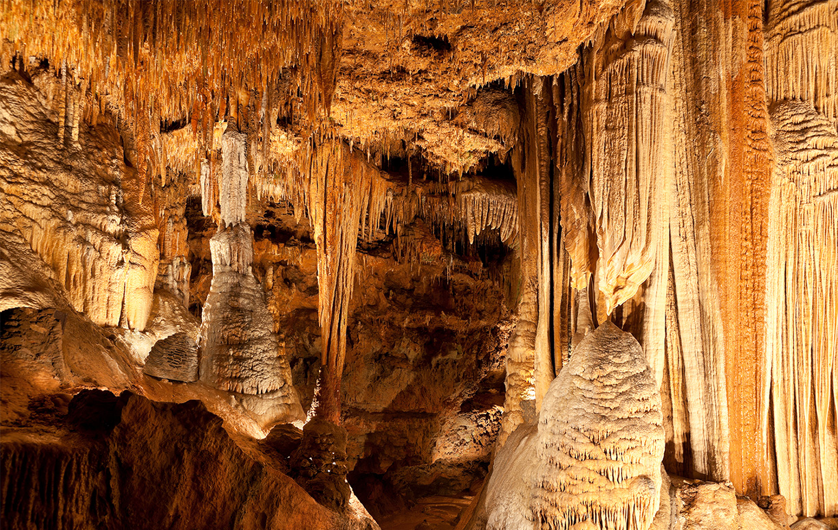 WoodPACA Wildlife_Regional_Parks_Pre-alps_Caves