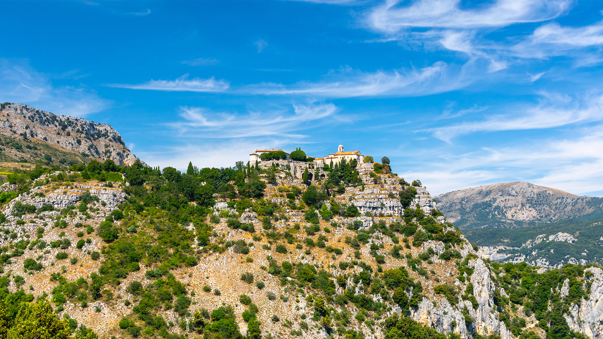 WoodPACA Wildlife_Regional_Parks_Pre-alps_Header