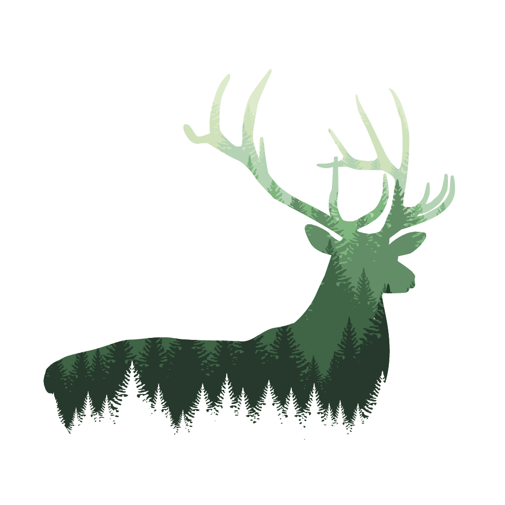 Woodpaca Wildlife_Ridge_Lines_Esterel_Red_Deer