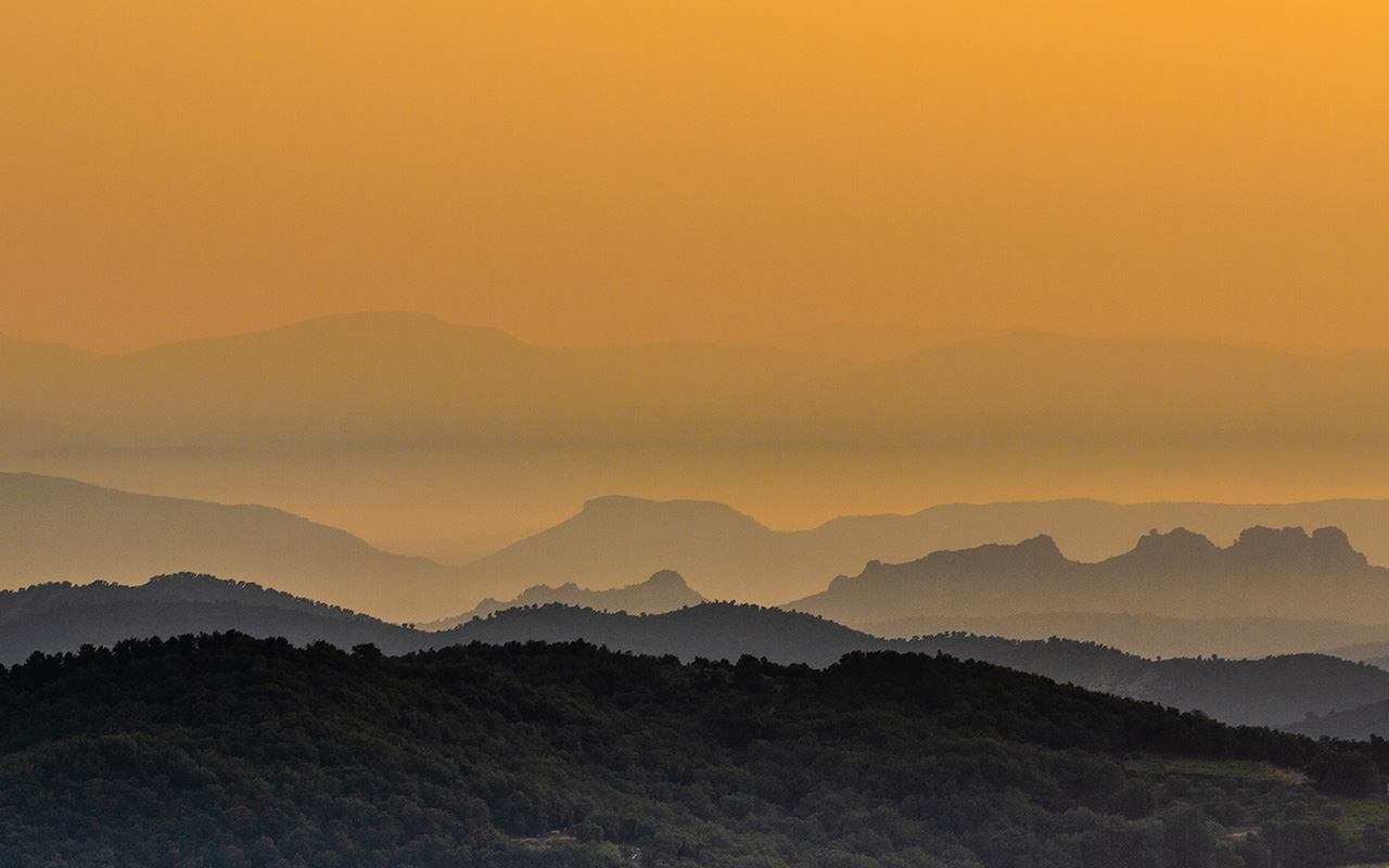 Woodpaca Wildlife_Ridge_Lines_Mobile_Header