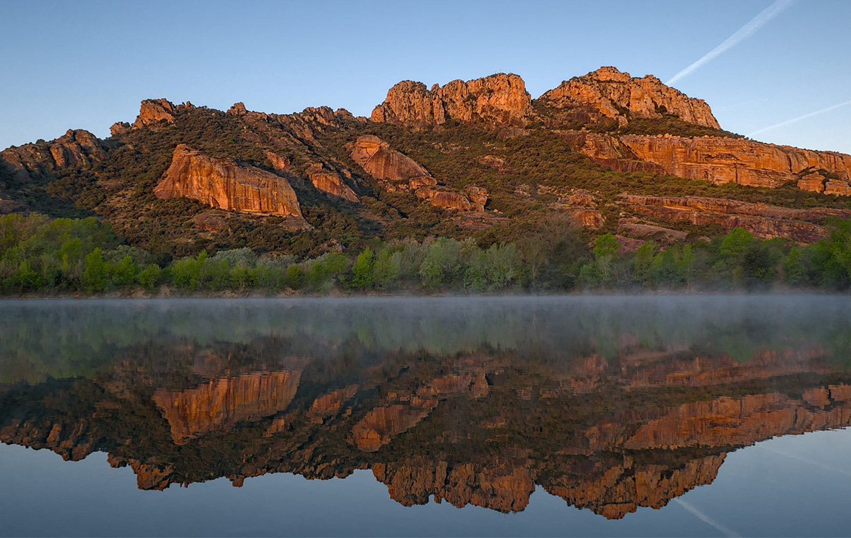 Woodpaca Wildlife_Ridge_Lines_Roquebrune