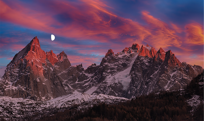 WoodPACA_Wildlife_Birds_Alpine_&_Subalpine_Zones