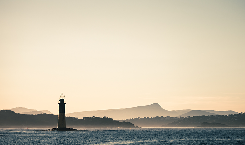 WoodPACA_Wildlife_Birds_Offshore_&_Pelagic_Birds