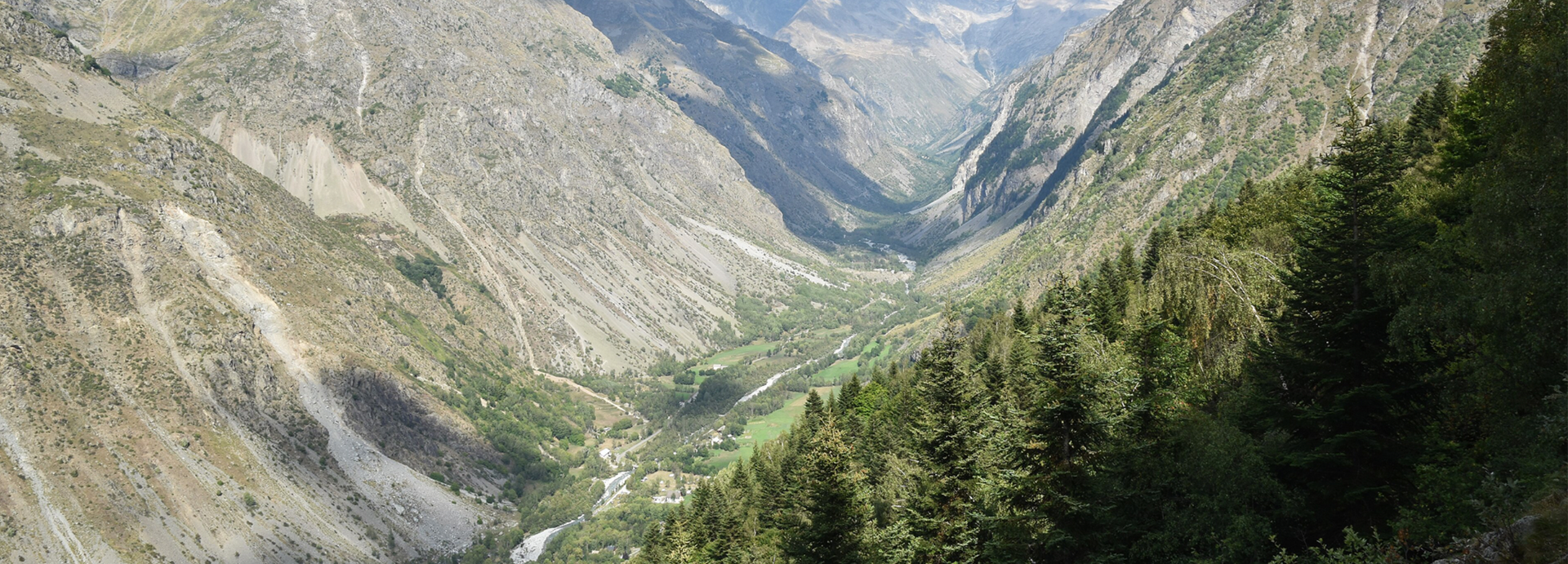 WoodPACA Wildlife_05_RNN_Séveraisse_Valley_Header