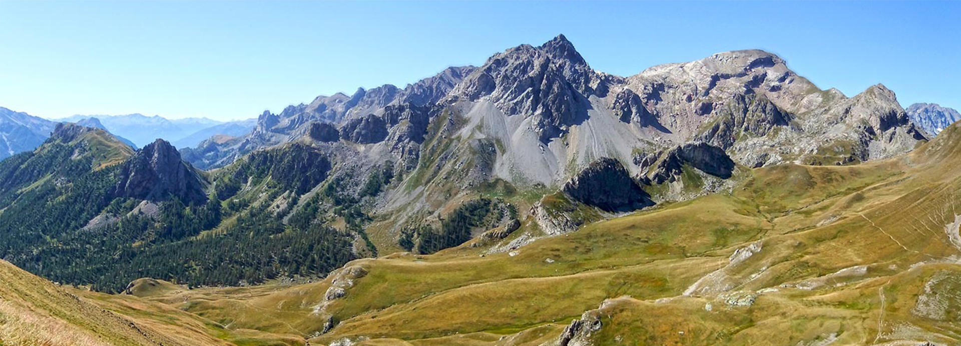 WoodPACA Wildlife_05_RNR_de_Partias_Header