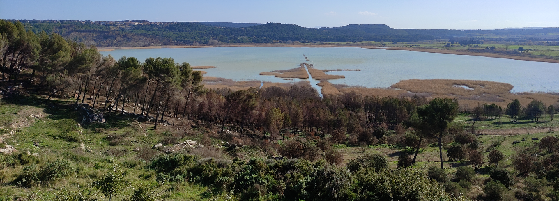 WoodPACA Wildlife_13_RNR_Pourra_Domaine_du_Ranquet_Header