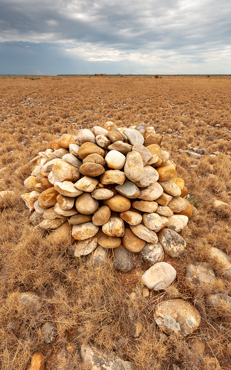 WoodPACA Wildlife_RNN_Coussouls_de_la_Crau_Pebbles