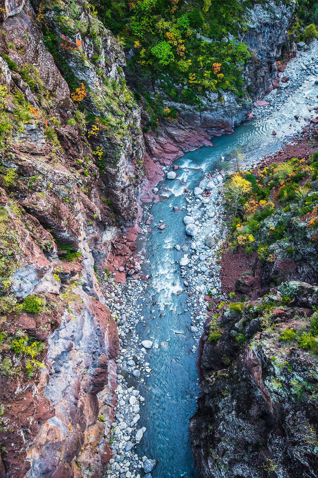 WoodPACA Wildlife_RNR_Dalius_River