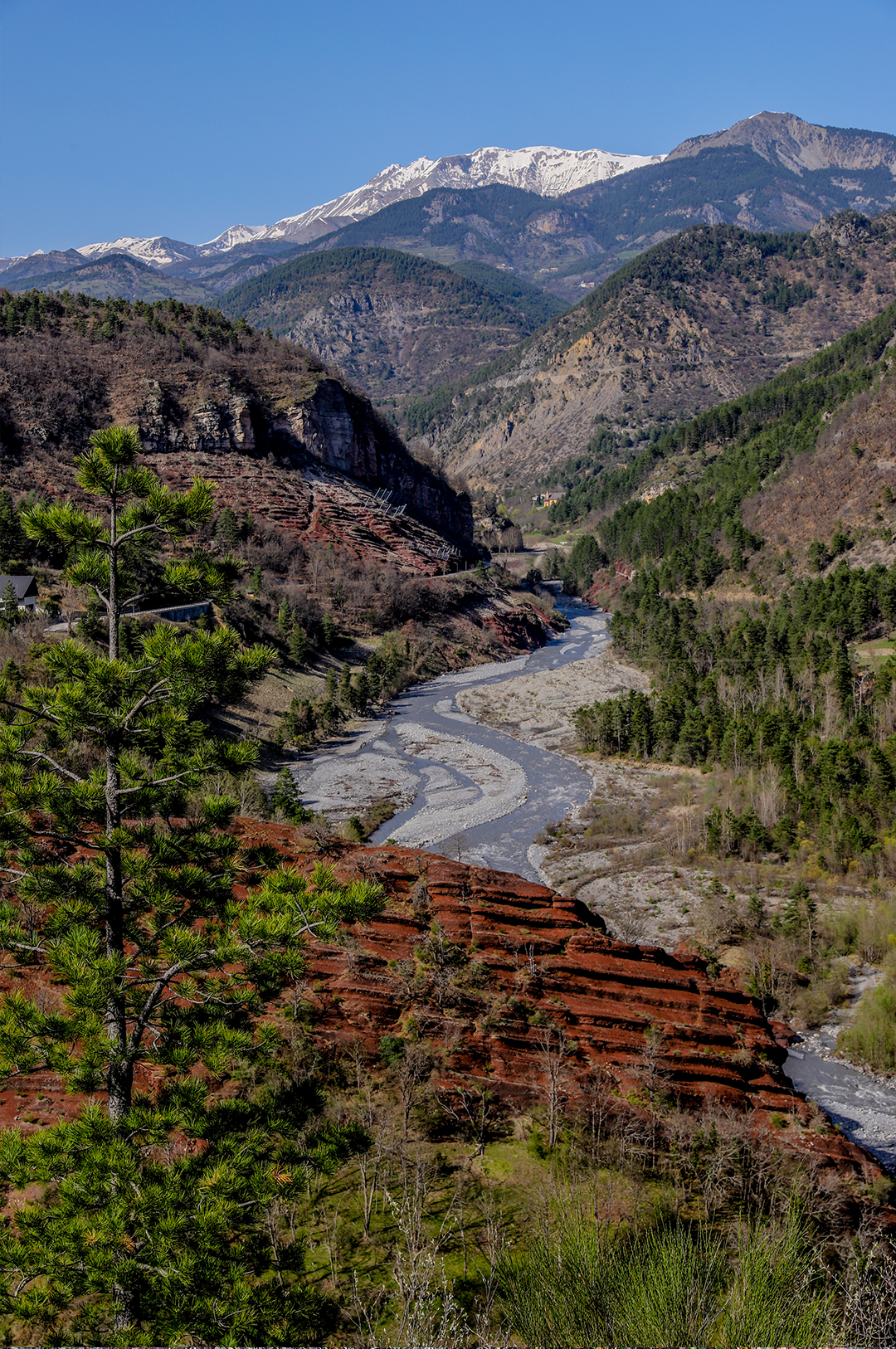 WoodPACA Wildlife_RNR_Dalius_View