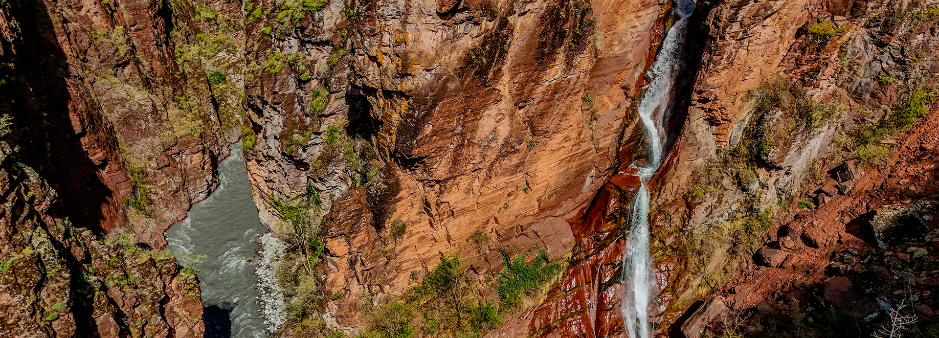 WoodPACA Wildlife_RNR_Dalius_Waterfall_Header