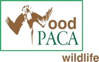 woodPACA Logo